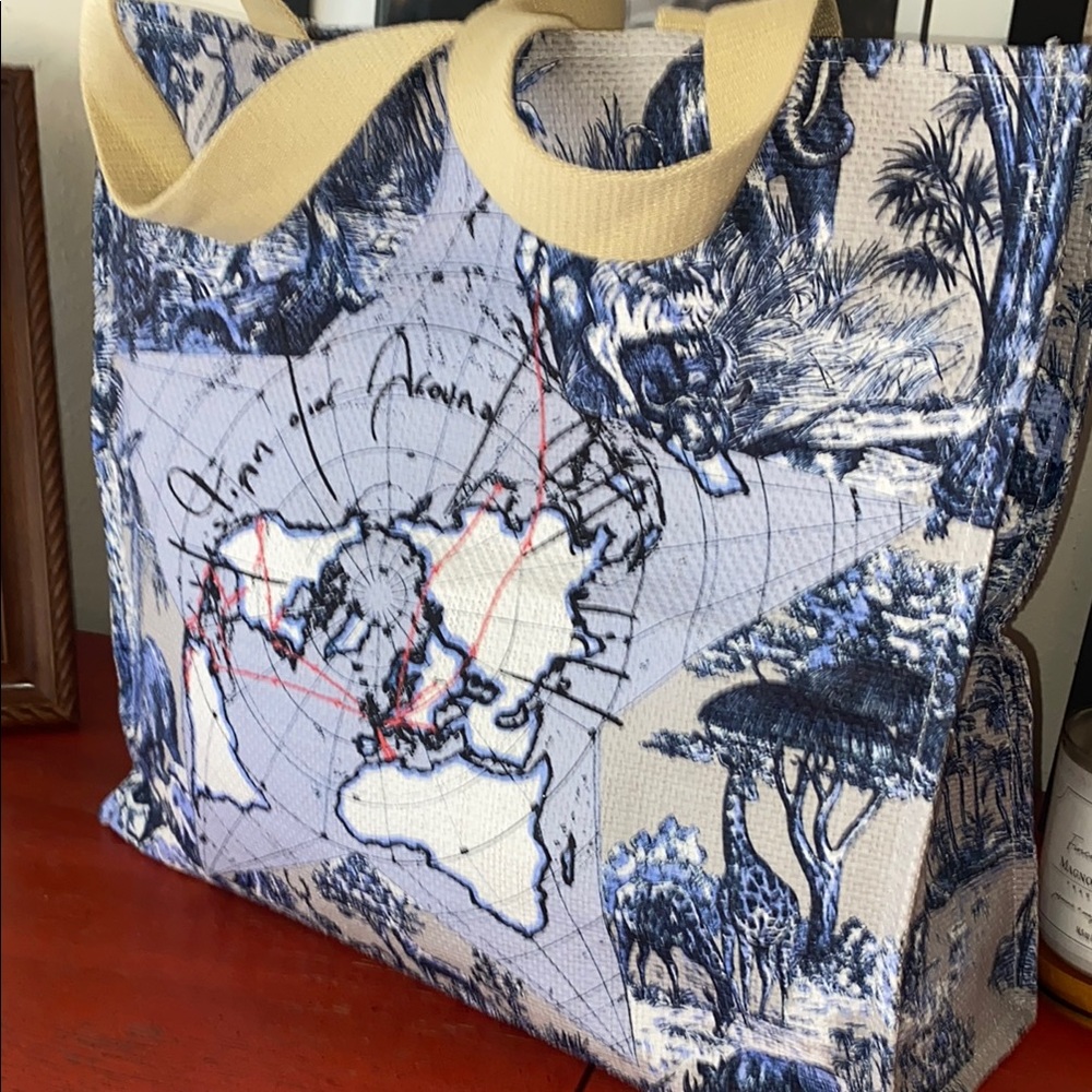Dior Blue and Tan Tote Bag around the world - Picture 6 of 13